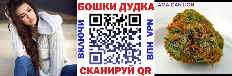 KRAKEN как войти  как найти наркотики  Светлоград  Марихуана MAZAR 